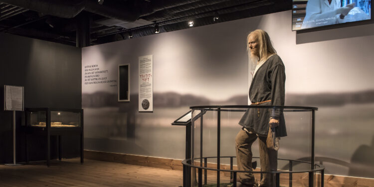 Stockholm’s Viking Museum – A Journey Into the Past